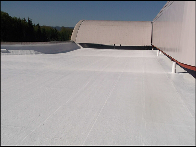 Mountain View Tech Company — After (photo 1)