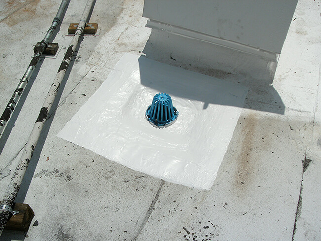 Quad drain 1